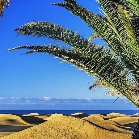 Edison Building 304 By Canariasgetaway * Las Palmas / Gran Canaria